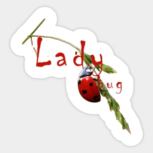 LadyBug Sticker